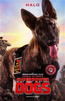 Superpower Dogs Photo 7