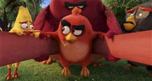 The Angry Birds Movie Photo 33