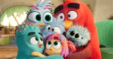 The Angry Birds Movie 3 Photo 1