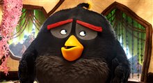 The Angry Birds Movie Photo 6