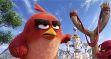 The Angry Birds Movie Photo 13