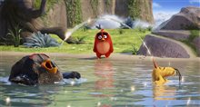 The Angry Birds Movie Photo 15