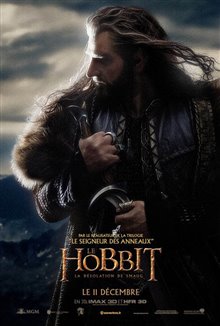 The Hobbit: The Desolation of Smaug Photo 66 - Large