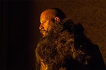 The Last Witch Hunter Photo 2