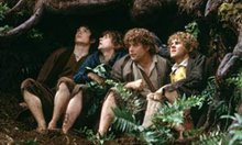 The Lord of the Rings: The Fellowship of the Ring Photo 12