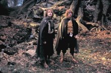 The Lord of the Rings: The Two Towers Photo 11