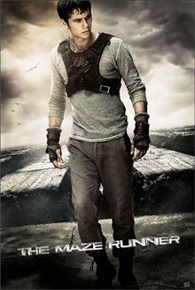The Maze Runner Photo 9 - Large