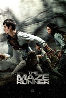 The Maze Runner Photo 19 - Large