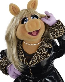 The Muppets Photo 20