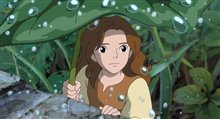 The Secret World of Arrietty (Dubbed) Photo 5