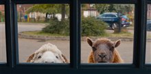 The Sheep Detectives Photo 6