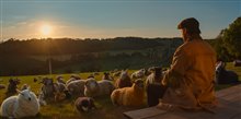 The Sheep Detectives Photo 16