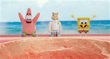 The SpongeBob Movie: Sponge Out of Water Photo 15