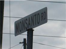 The World According to Monsanto Photo 1