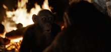 War for the Planet of the Apes Photo 9