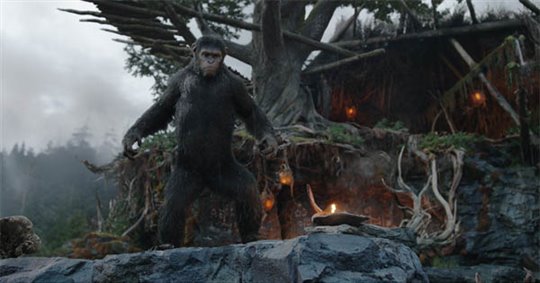 Dawn of the Planet of the Apes Photo 12 - Large