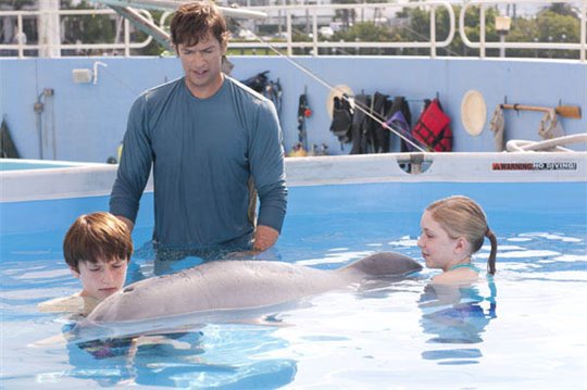 Dolphin Tale Photo 7 - Large