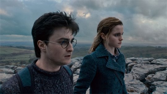 Harry Potter and the Deathly Hallows: Part 1 Photo 17 - Large