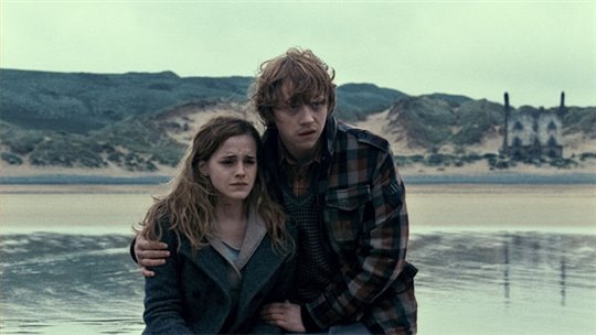 Harry Potter and the Deathly Hallows: Part 1 Photo 21 - Large
