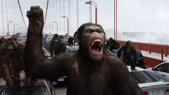 Rise of the Planet of the Apes Photo 10 - Large