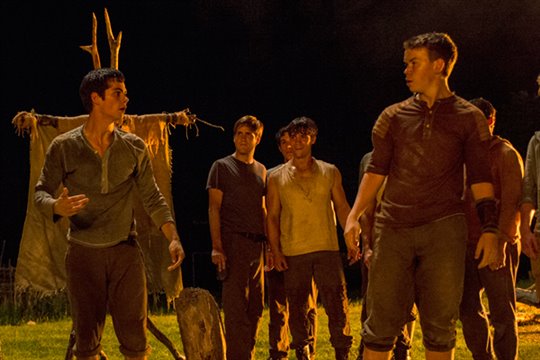 The Maze Runner Photo 2 - Large