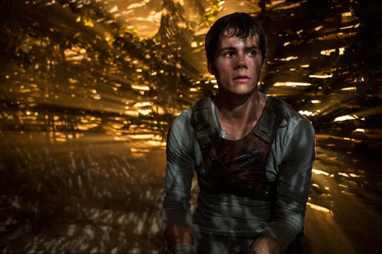 The Maze Runner Photo 4 - Large