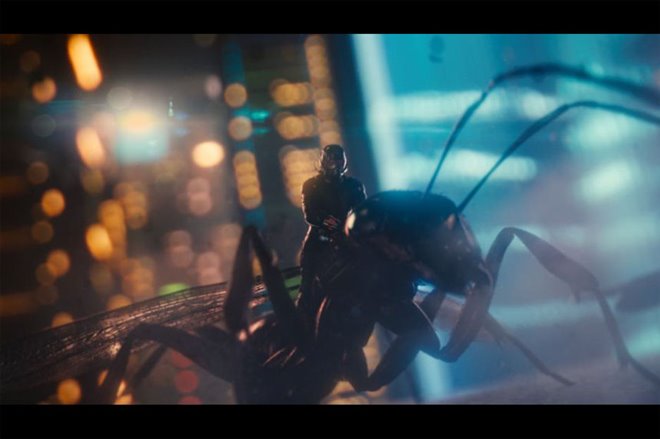 Ant-Man Photo 15 - Large
