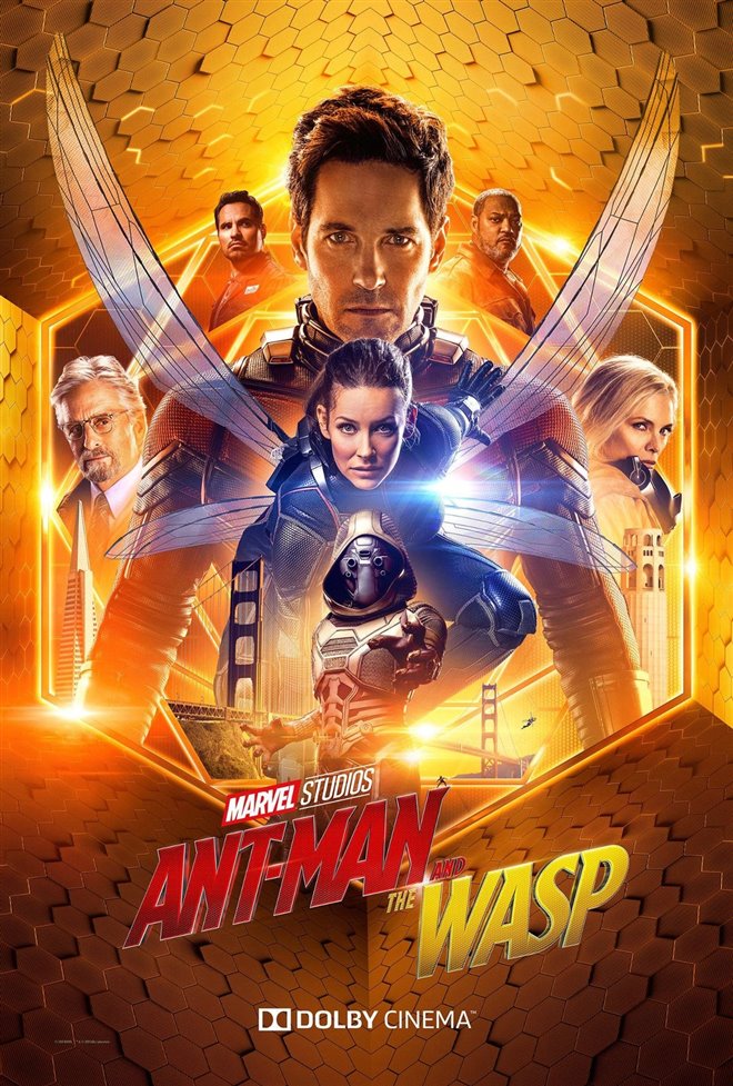 Ant-Man and The Wasp Photo 45 - Large