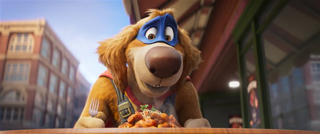 Charlie the Wonderdog Photo 1 - Large