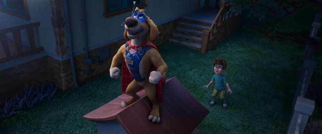 Charlie the Wonderdog Photo 7 - Large