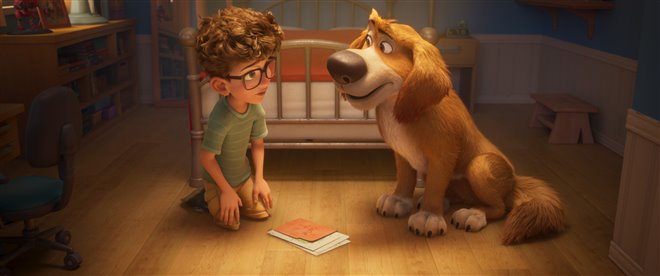 Charlie the Wonderdog Photo 9 - Large