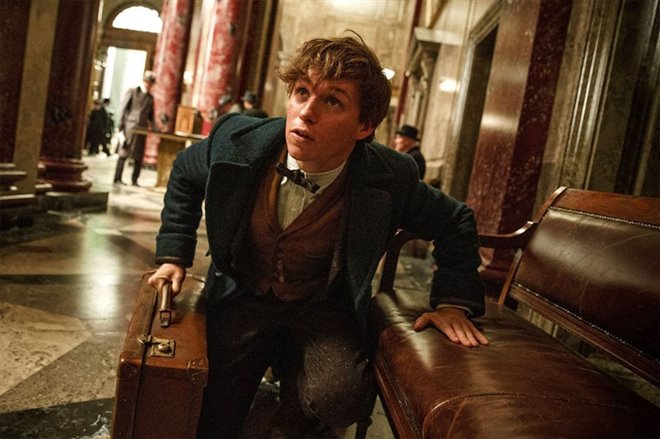 Fantastic Beasts and Where to Find Them Photo 2 - Large