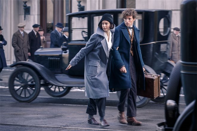 Fantastic Beasts and Where to Find Them Photo 24 - Large