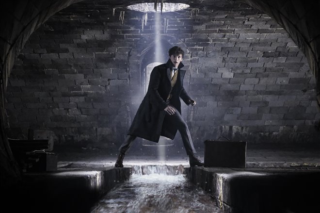 Fantastic Beasts: The Crimes of Grindelwald Photo 1 - Large