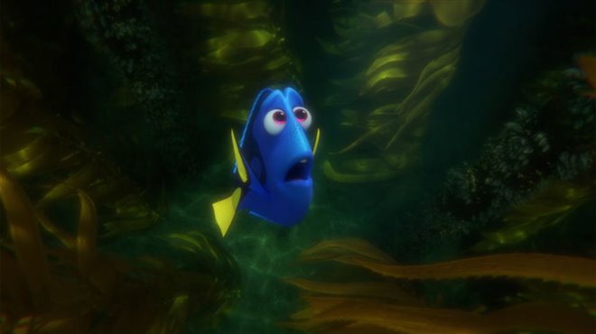 Finding Dory Photo 22 - Large