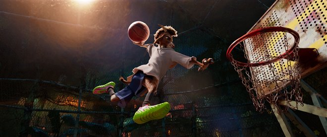 GOAT Photo 3 - Large