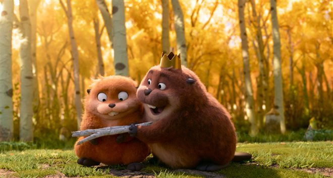 Hoppers Photo 12 - Large