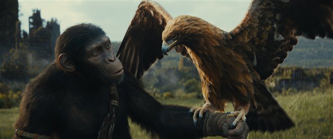 Kingdom of the Planet of the Apes Photo 2 - Large
