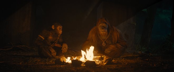 Kingdom of the Planet of the Apes Photo 6 - Large