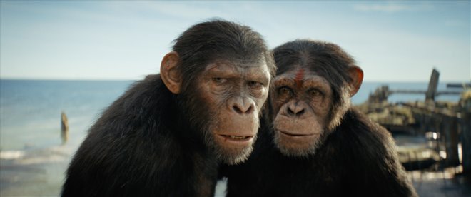 Kingdom of the Planet of the Apes Photo 11 - Large