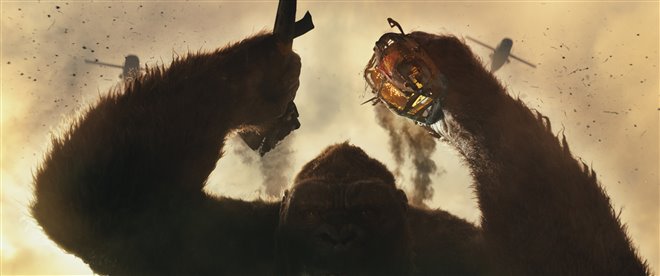 Kong: Skull Island Photo 16 - Large