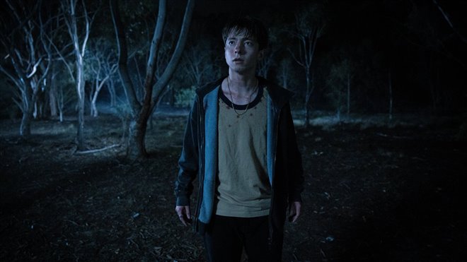 Leviticus Photo 1 - Large