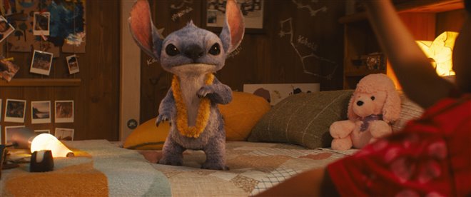 Lilo & Stitch Photo 12 - Large