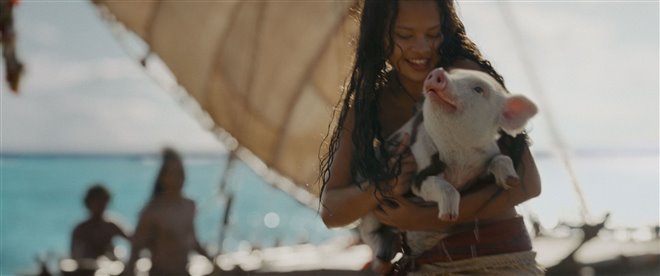 Moana Photo 8 - Large