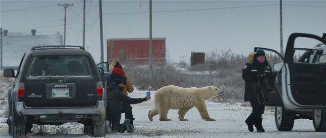 Nuisance Bear Photo 2 - Large