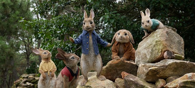 Peter Rabbit Photo 21 - Large
