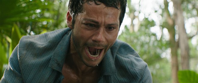 Send Help Photo 13 - Large