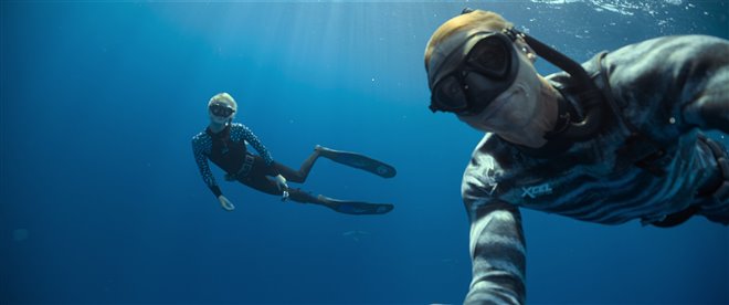 Shark Whisperer (Netflix) Photo 2 - Large