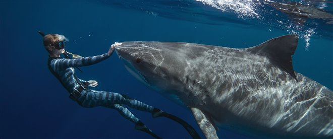 Shark Whisperer (Netflix) Photo 4 - Large