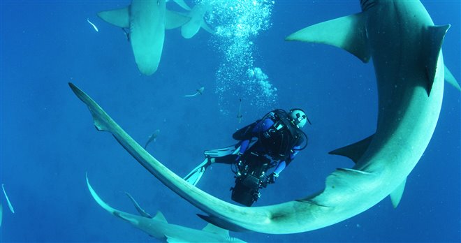 Sharkwater Extinction Photo 3 - Large